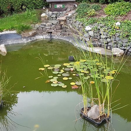 Waldhufenidyll Koenigswalde Im Erzgebirge Apartment Konigswalde ภายนอก รูปภาพ