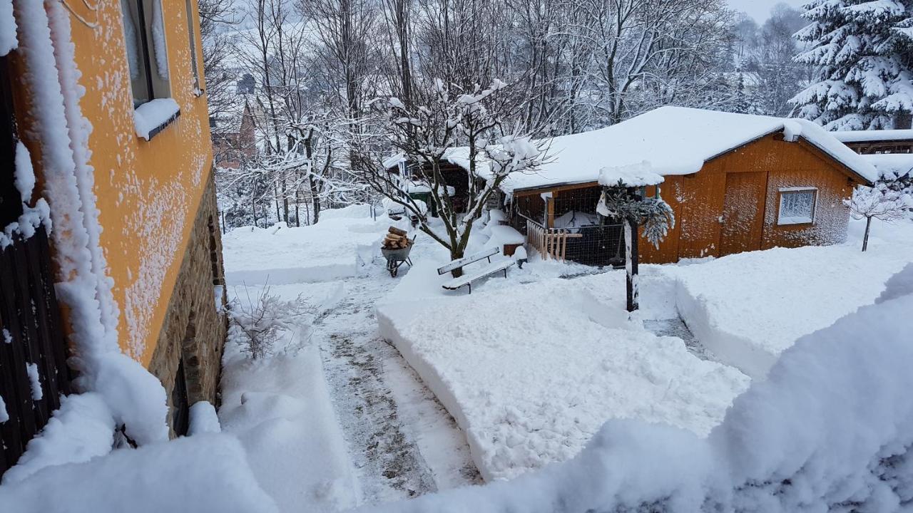 Waldhufenidyll Koenigswalde Im Erzgebirge Apartment Konigswalde ภายนอก รูปภาพ