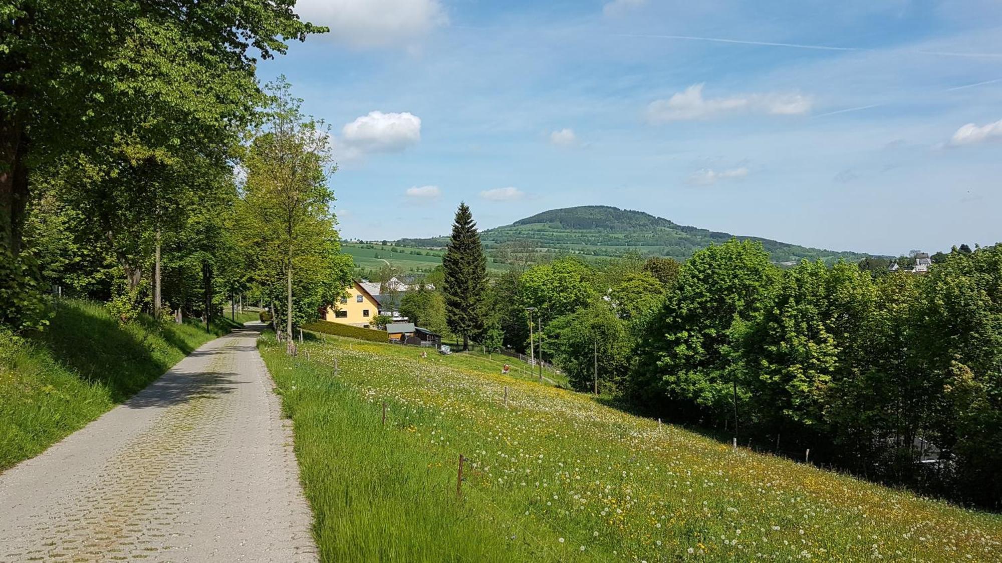 Waldhufenidyll Koenigswalde Im Erzgebirge Apartment Konigswalde ภายนอก รูปภาพ